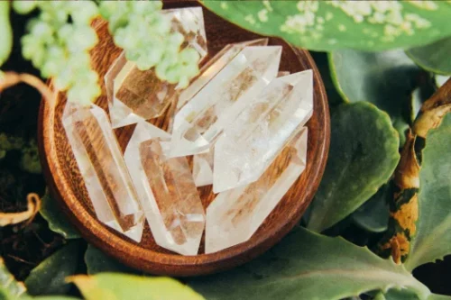 A wooden bowl filled with clear quartz crystals, nestled among green leaves and plants.