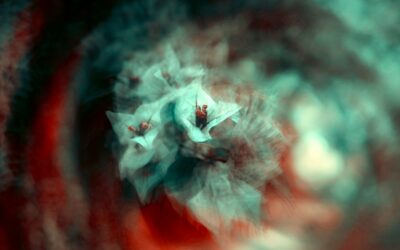 Soul Exploration-A group past life regression & spirit guide connection event